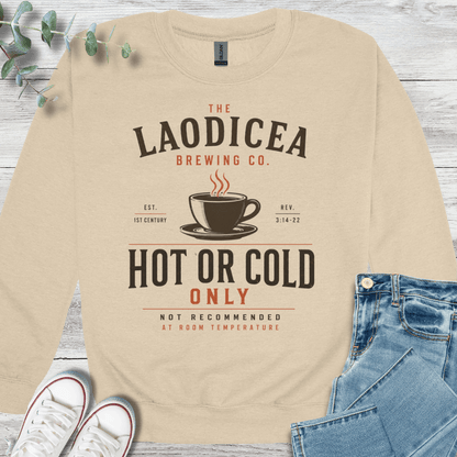 Hot or Cold Sweatshirt - Christian graphic sweatshirt