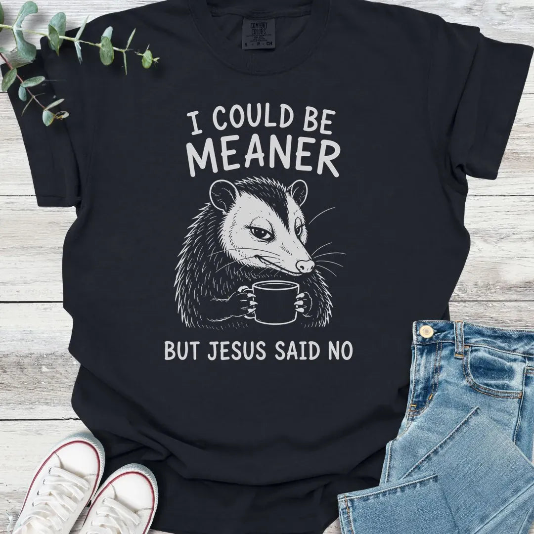 Temper Tamed T-Shirt