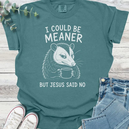 Temper Tamed T-Shirt