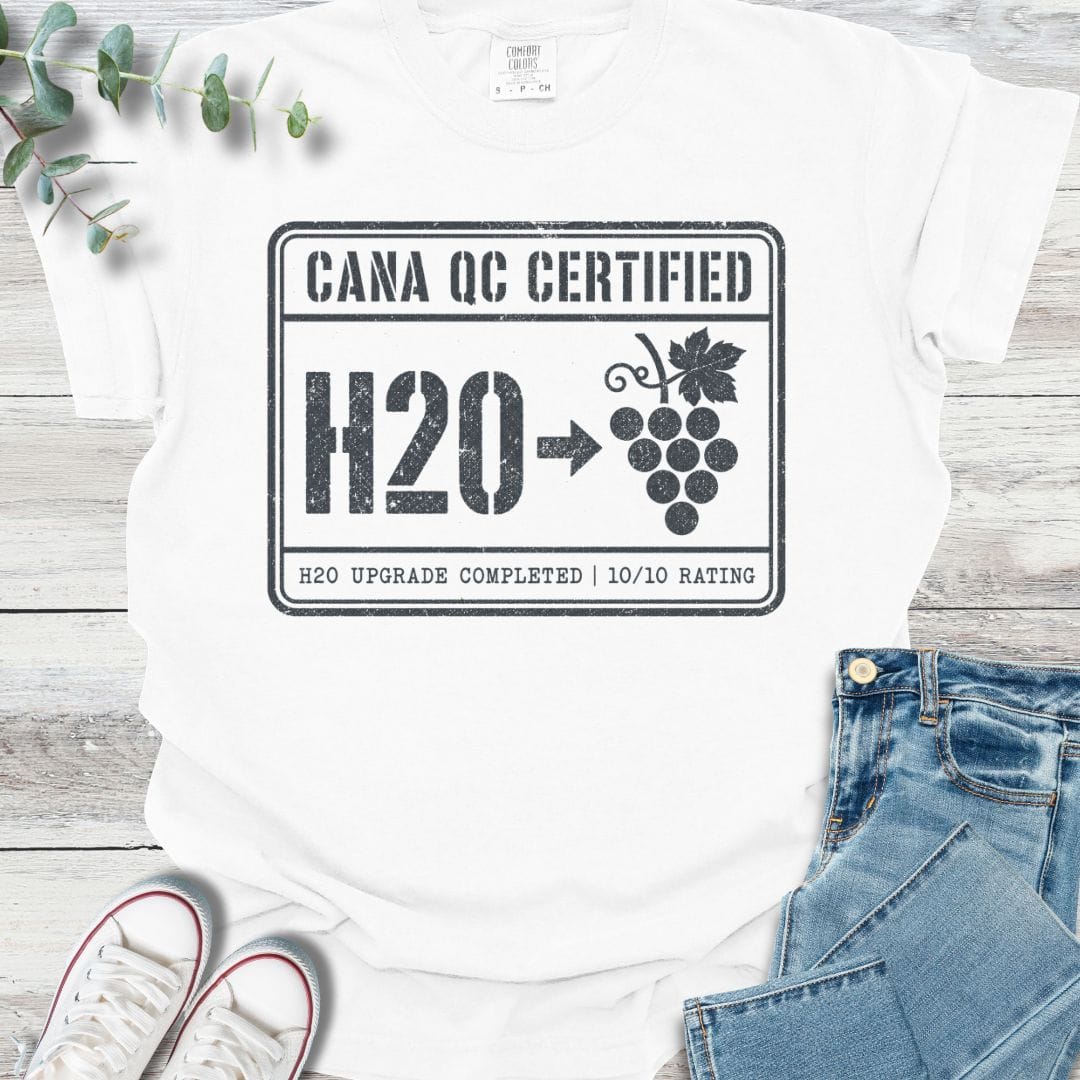 H20 Upgrade T-Shirt in White - Christian graphic tee