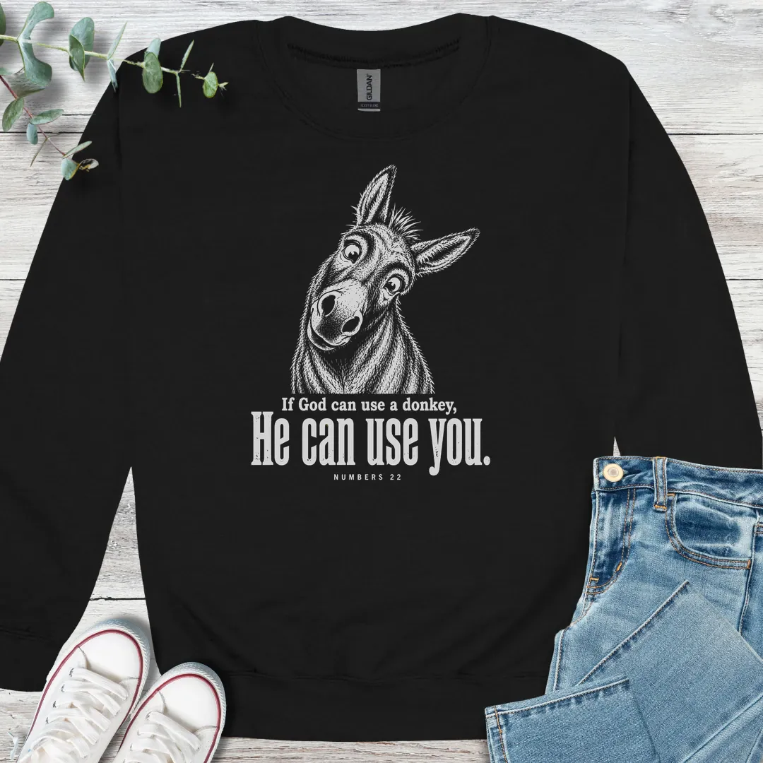 Balaam's Donkey - Christian graphic tee