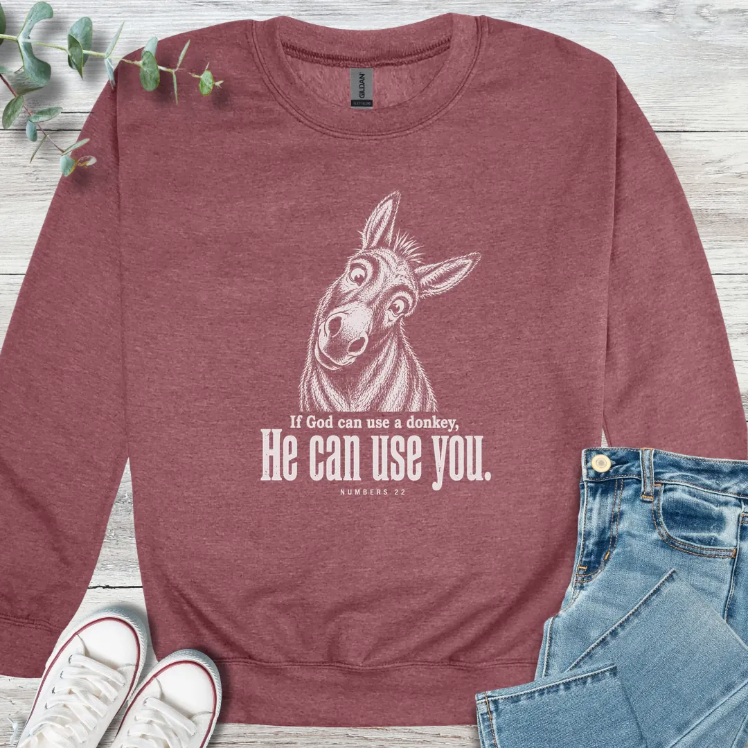 Balaam's Donkey - Christian graphic tee