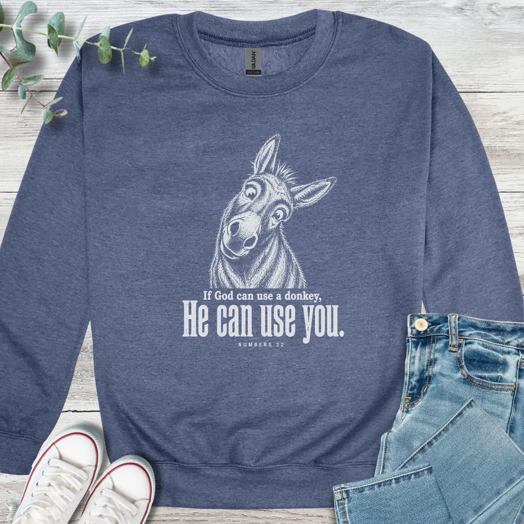 Balaam's Donkey - Christian graphic tee
