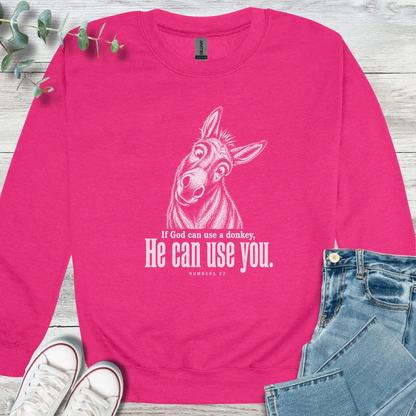 Balaam's Donkey - Christian graphic tee
