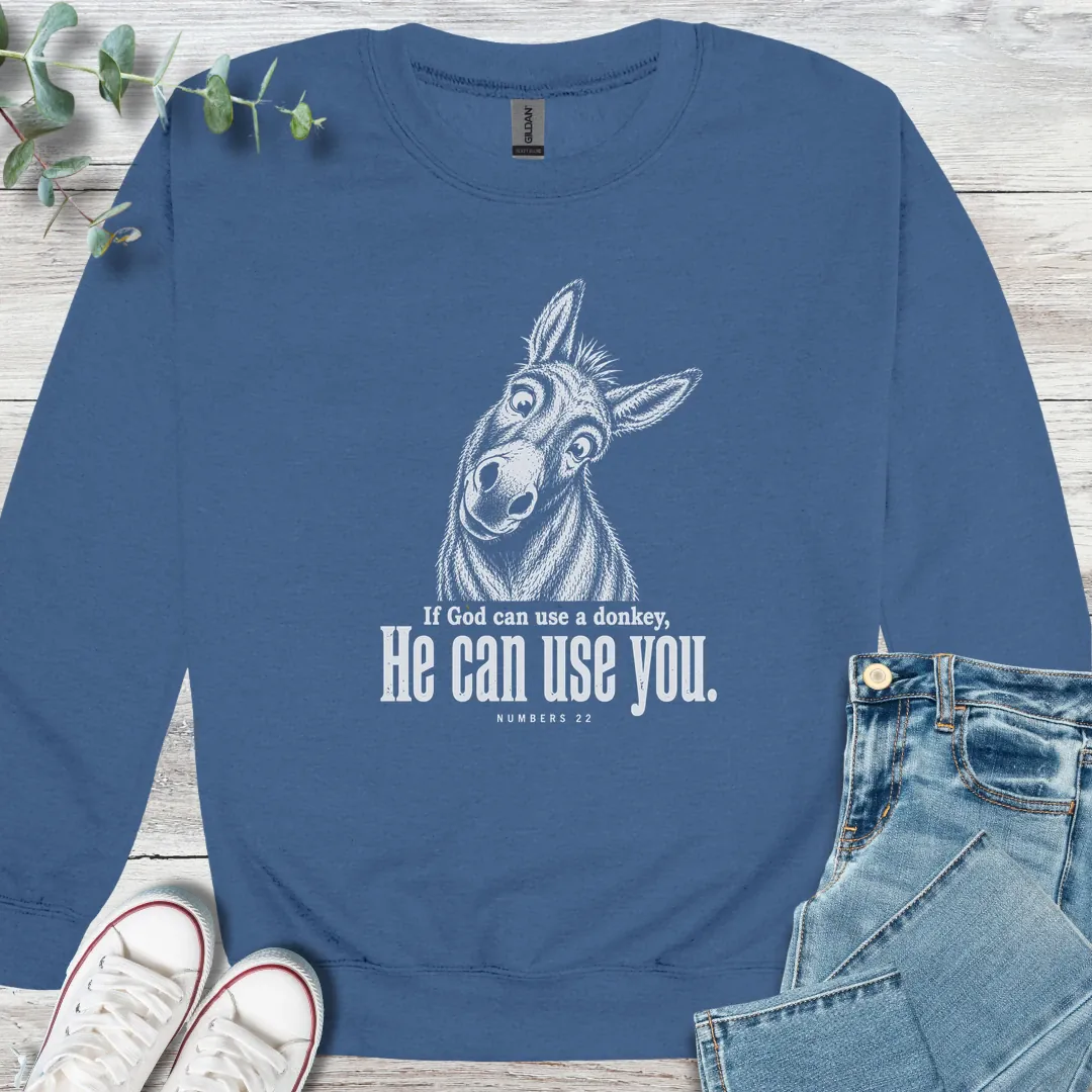 Balaam's Donkey - Christian graphic tee