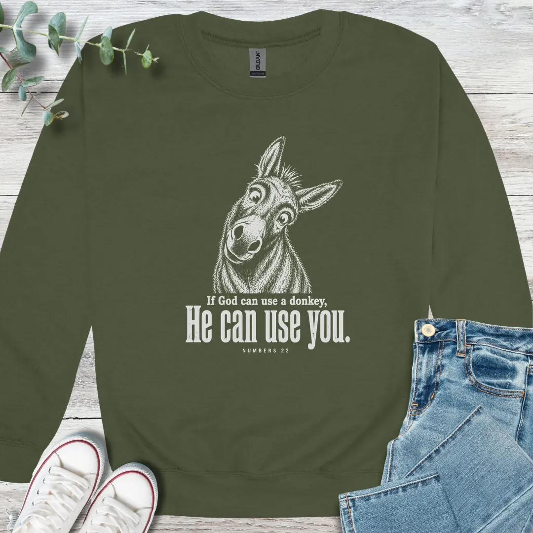 Balaam's Donkey - Christian graphic tee