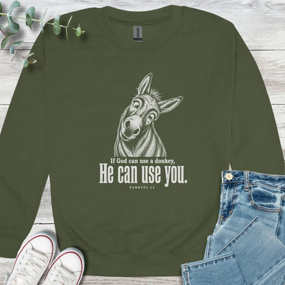 Balaam's Donkey - Christian graphic tee