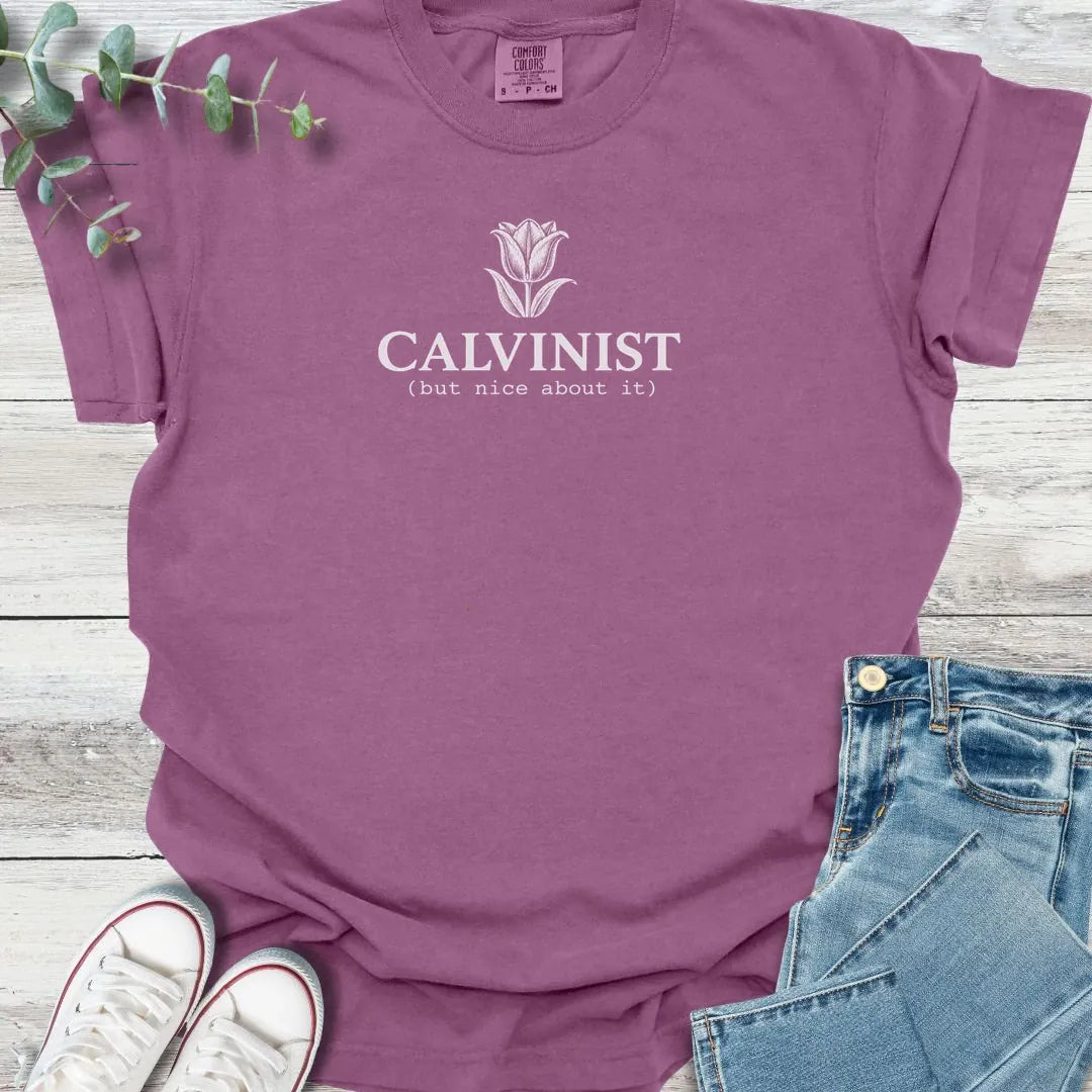 Nice Calvinist T-Shirt - Christian graphic tee