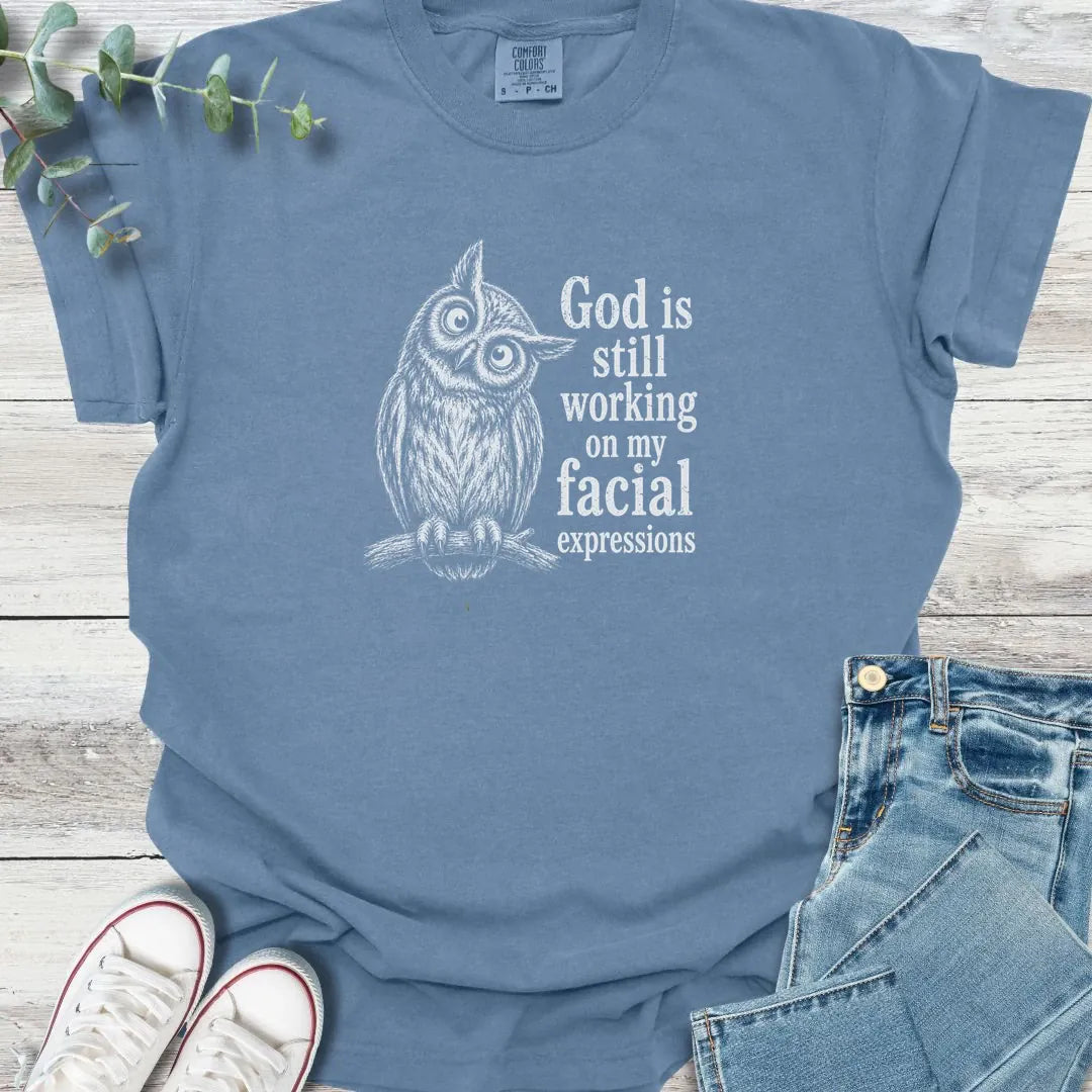 Facial Sanctification T-Shirt - Christian graphic tee