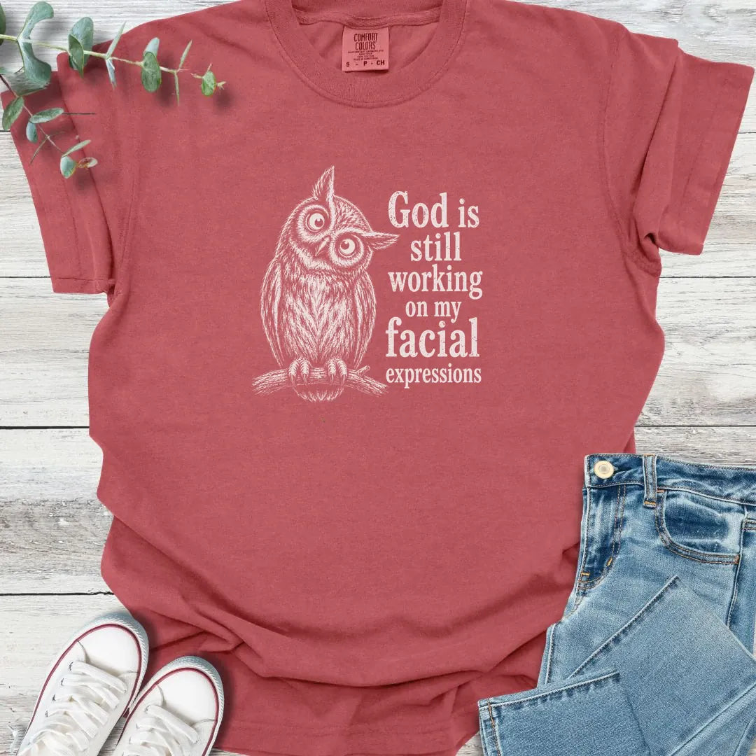 Facial Sanctification T-Shirt - Christian graphic tee
