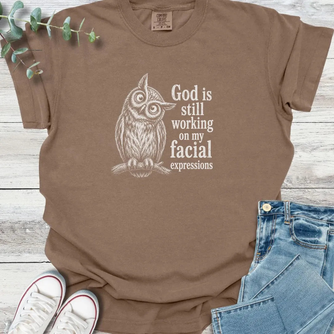 Facial Sanctification T-Shirt - Christian graphic tee