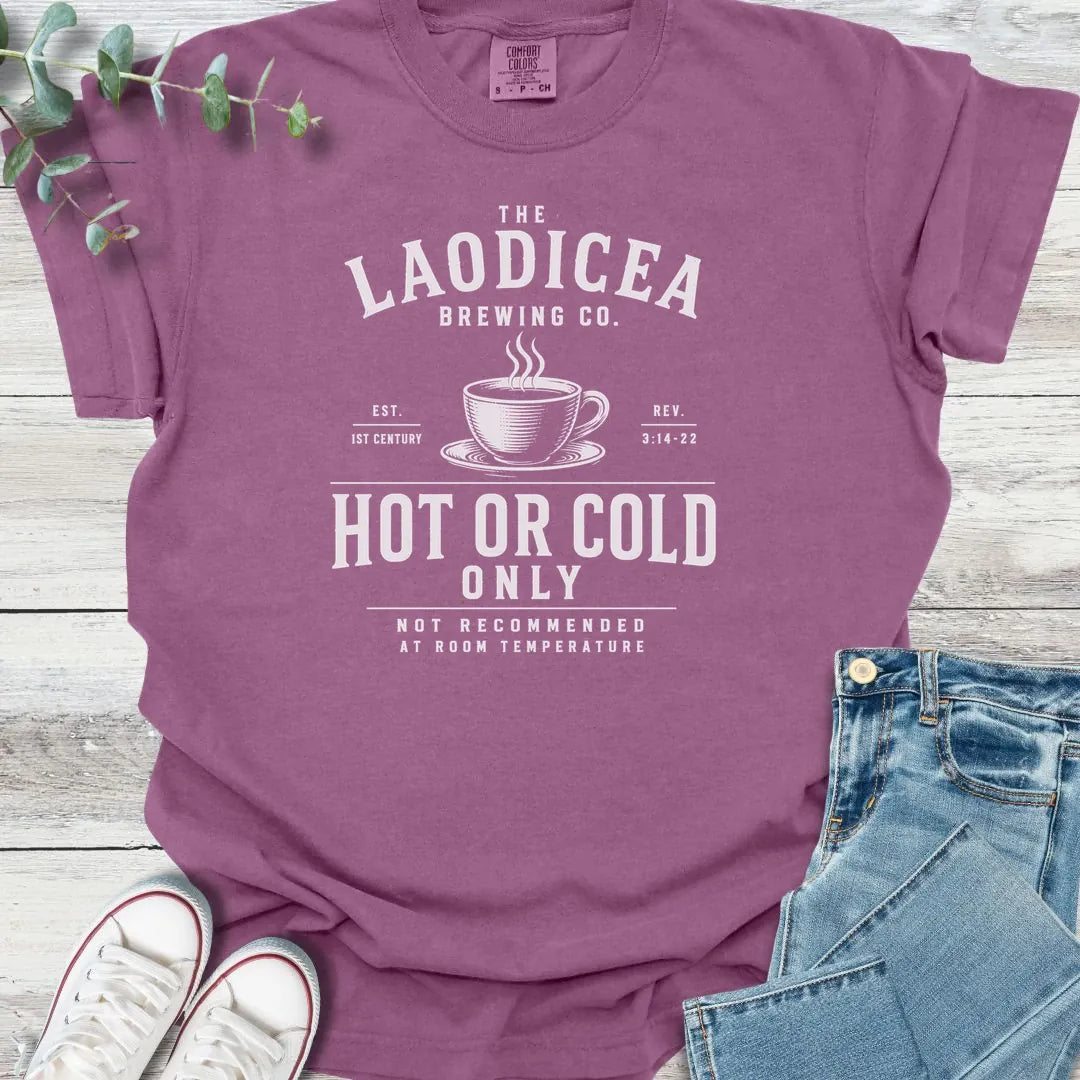 Hot or Cold T-Shirt - Christian graphic tee