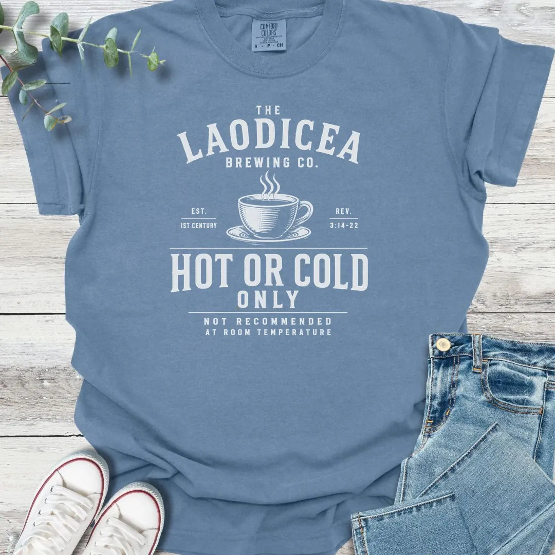 Hot or Cold T-Shirt - Christian graphic tee