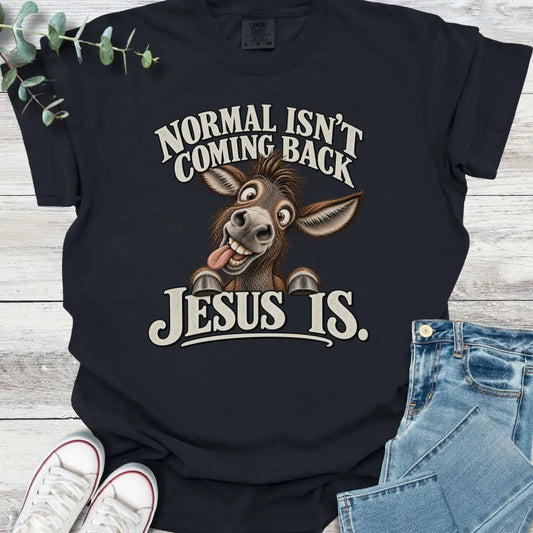 No Normal T-Shirt - Christian graphic tee