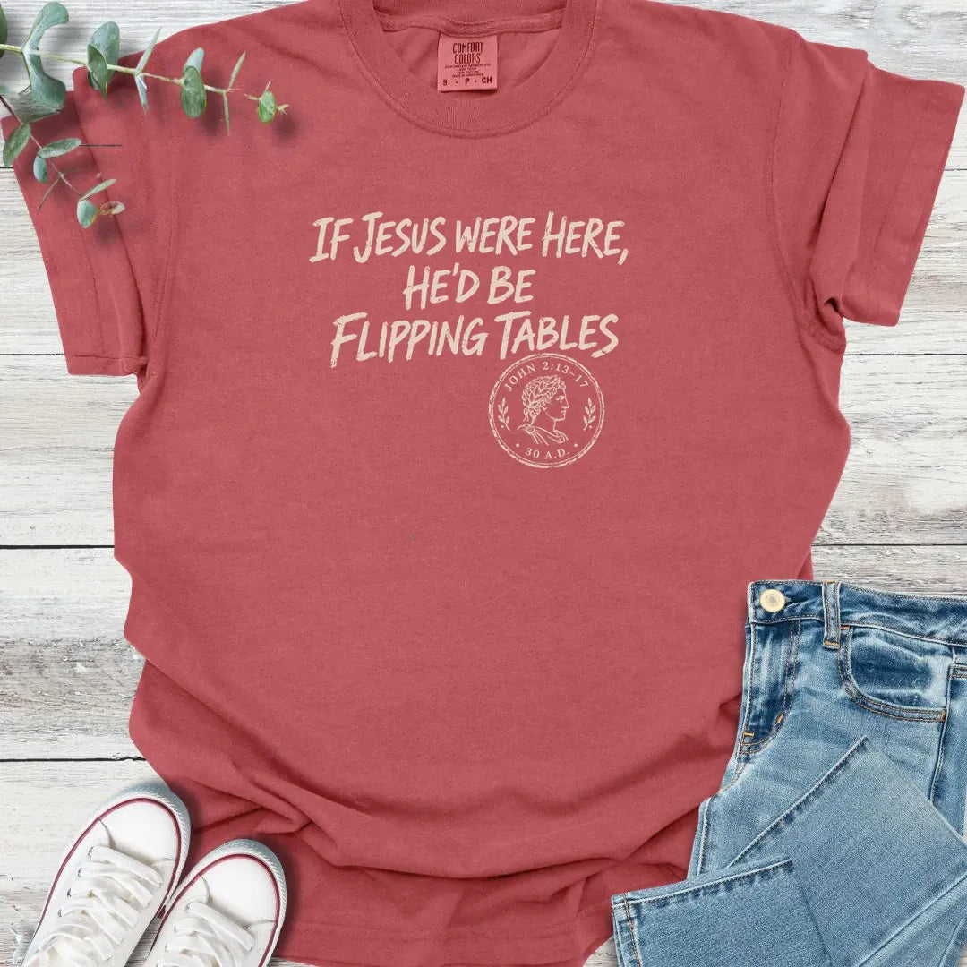 Temple Cleansing T-Shirt - Christian graphic tee